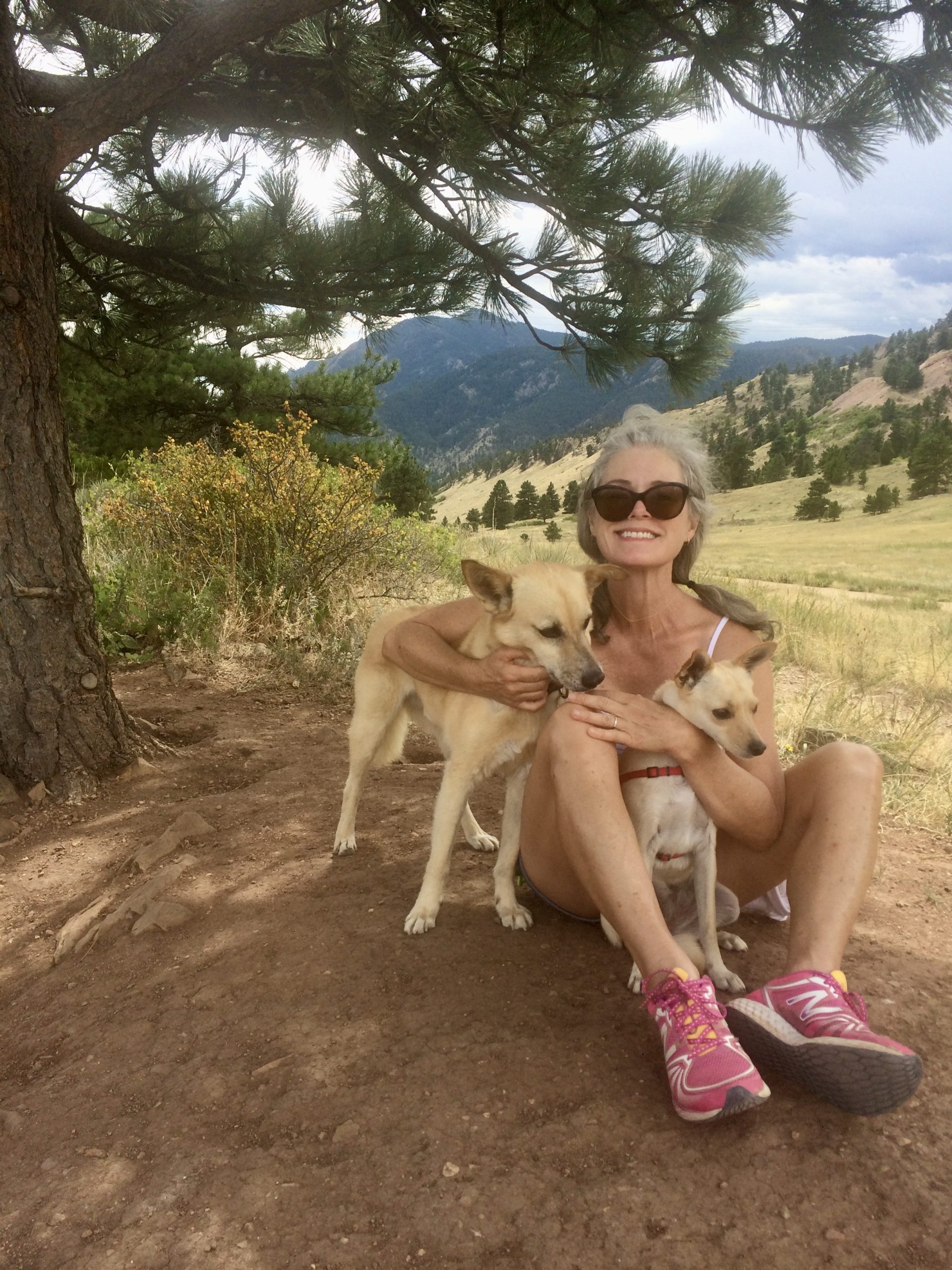 What Colorado pet owners should know