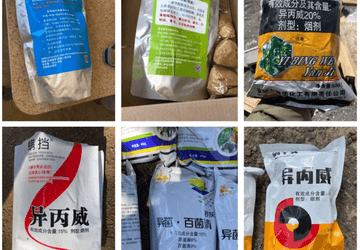 Local emergency declared in Siskiyou County over illegal pesticide use at cannabis grows