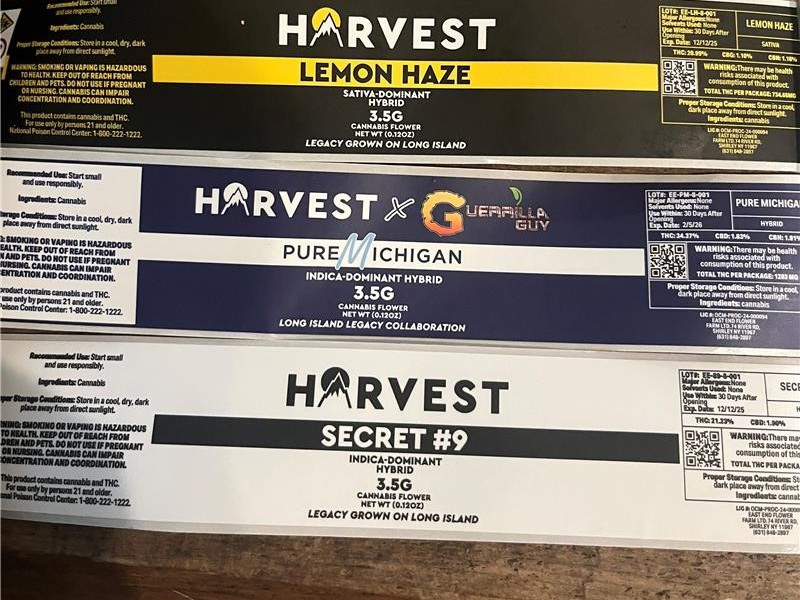 Another Cannabis Recall Issued in New York