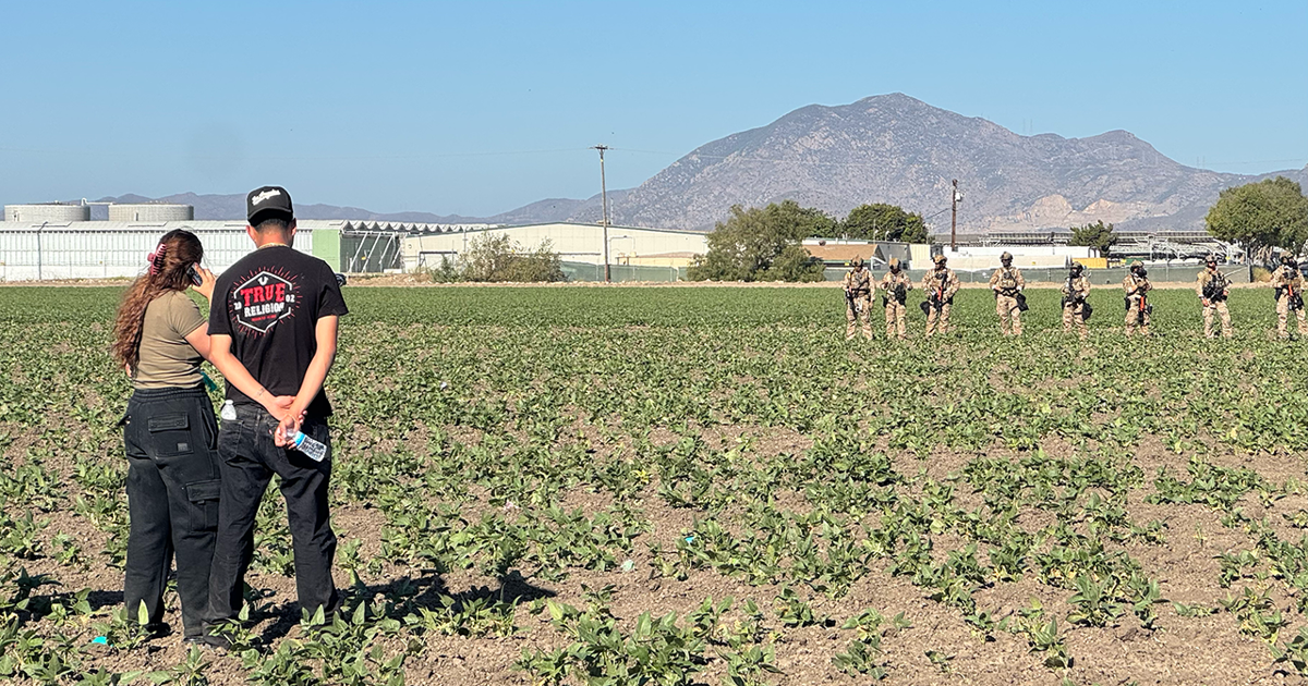 ICE raids cannabis farms: Man dies in Camarillo; Carbajal slams ‘disproportionate level of force’ in Carpinteria | News