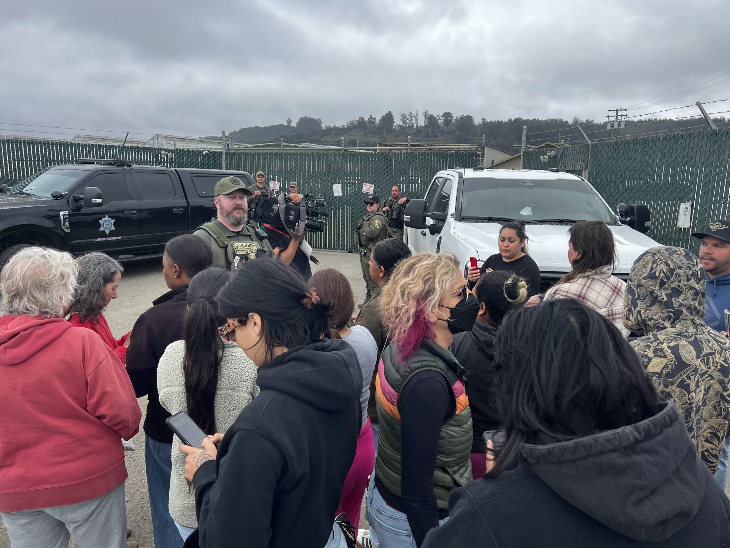 'It’s looking like a test run': False ICE alarm at illegal cannabis operation readies community for potential immigration raids