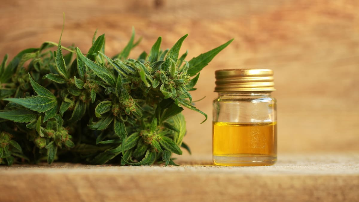 Hawke’s Bay Hospital worker charged over cannabis cake at lunch