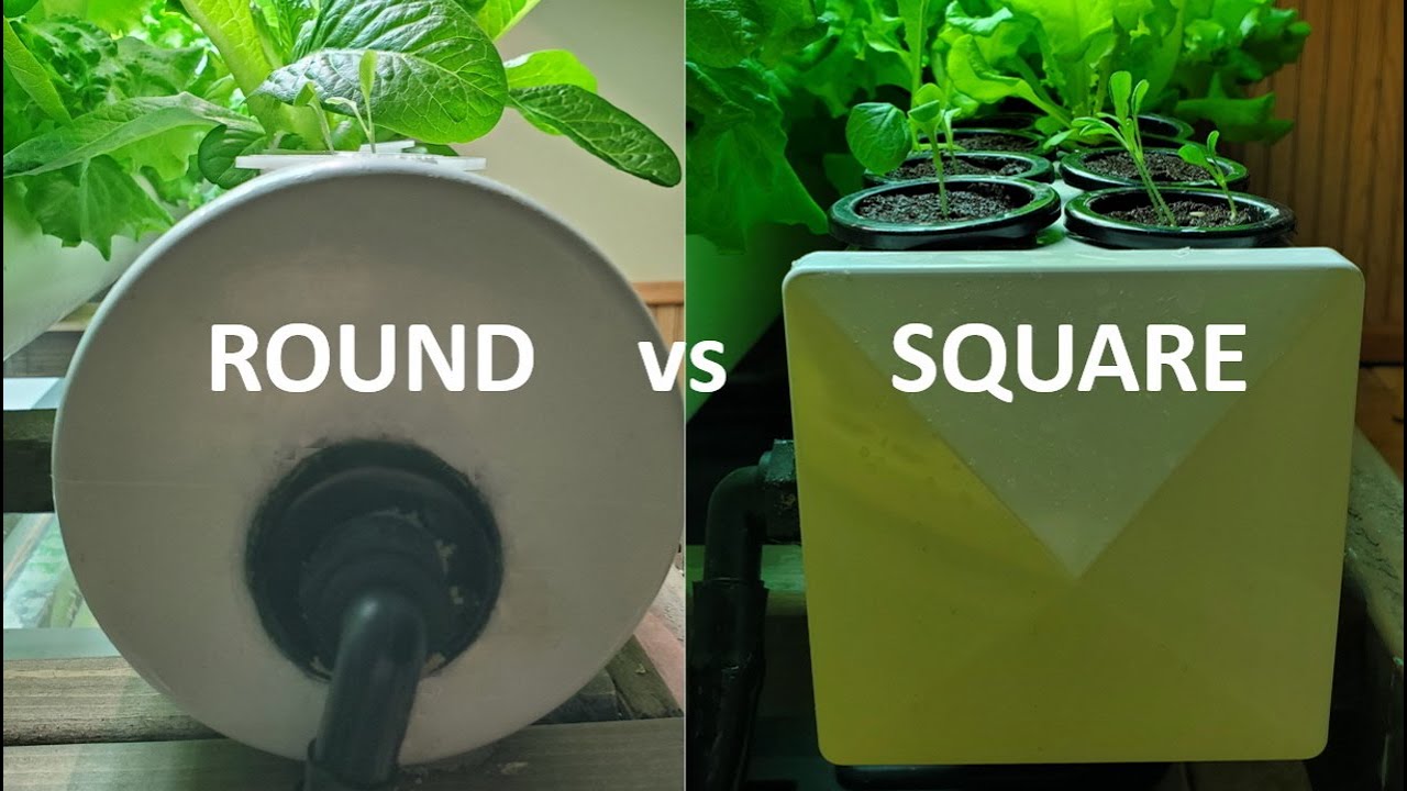 Hydroponic PVC Rails: Round vs Square?