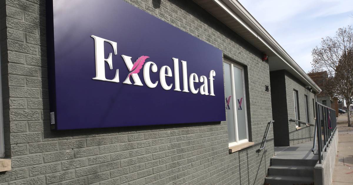 City of DeKalb gives final OK to cannabis dispensary tasting rooms – Shaw Local