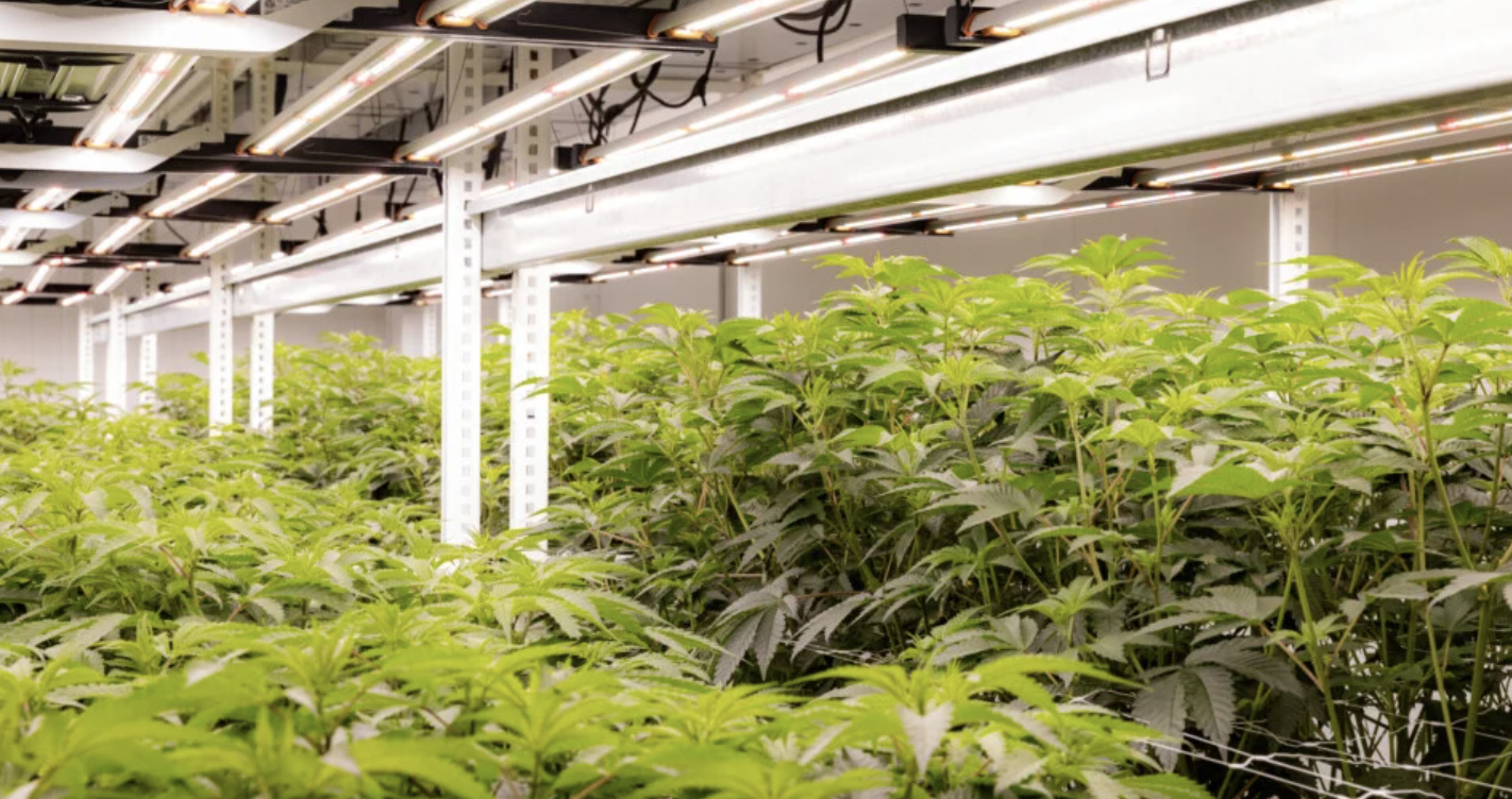 Missouri Supreme Court rules to end double-stacking cannabis tax