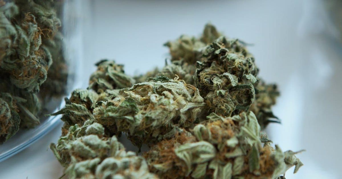 Call For Pressure On PA Senators Over Cannabis