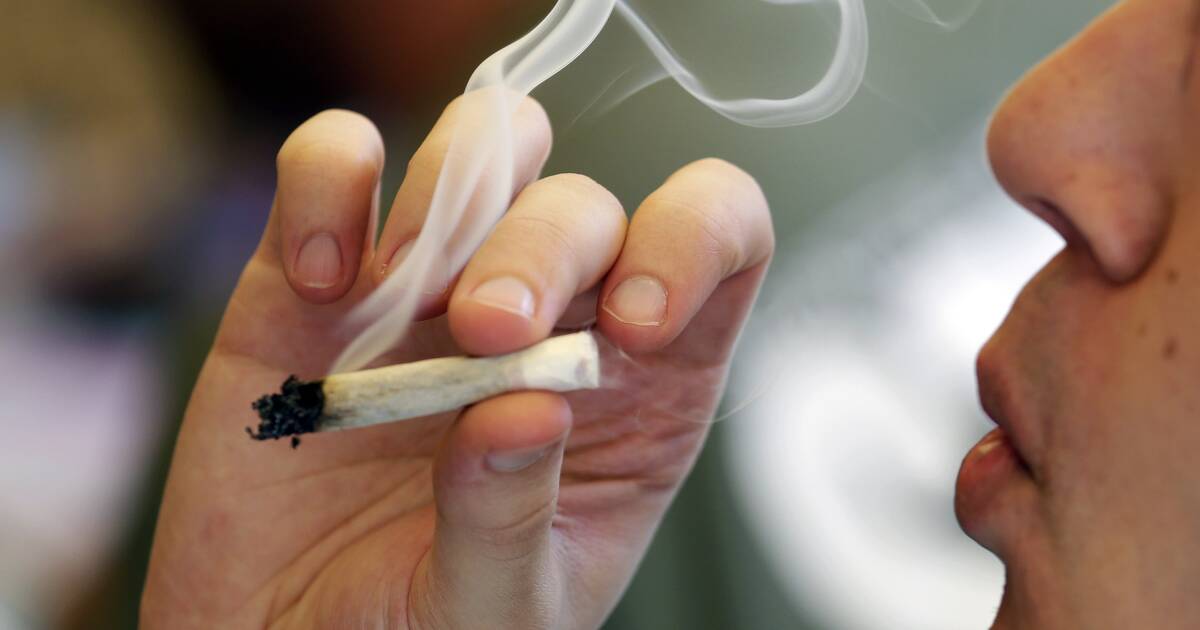 Early cannabis users show lower brain coherence and cognitive challenges