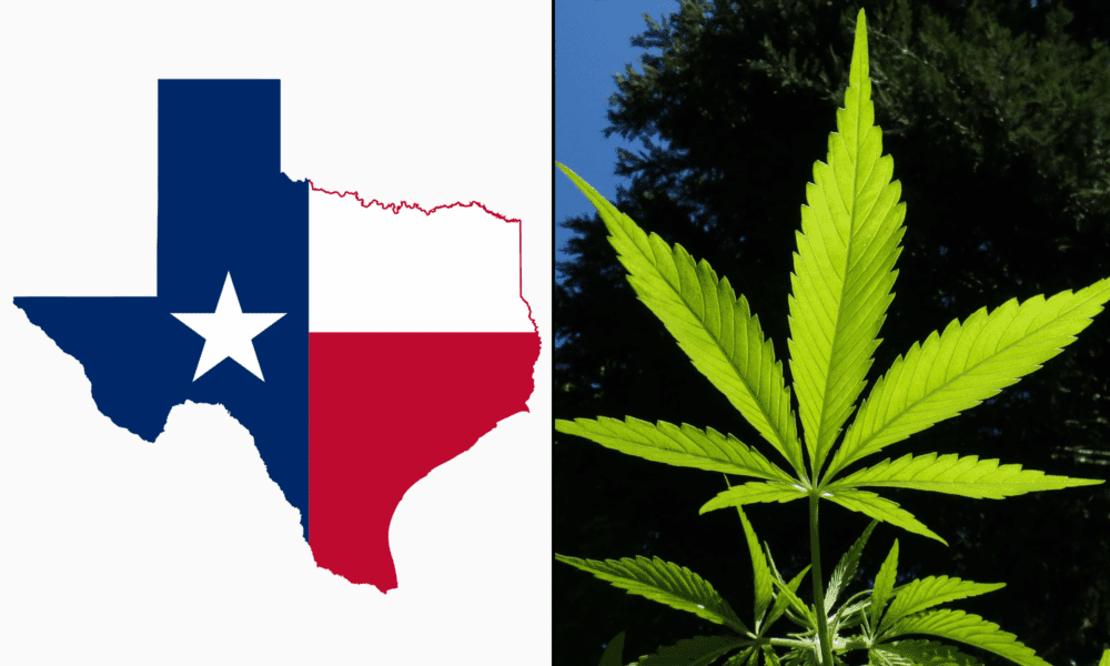 Marijuana Would Be Legalized In Texas Under New Bill Filed For Special Legislative Session