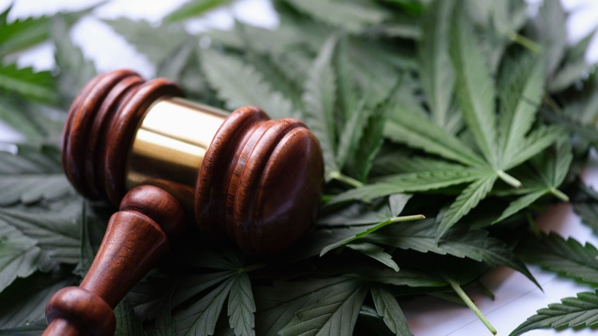 Sweed Partners with Mission [Green] to Support Cannabis Clemency and Reform