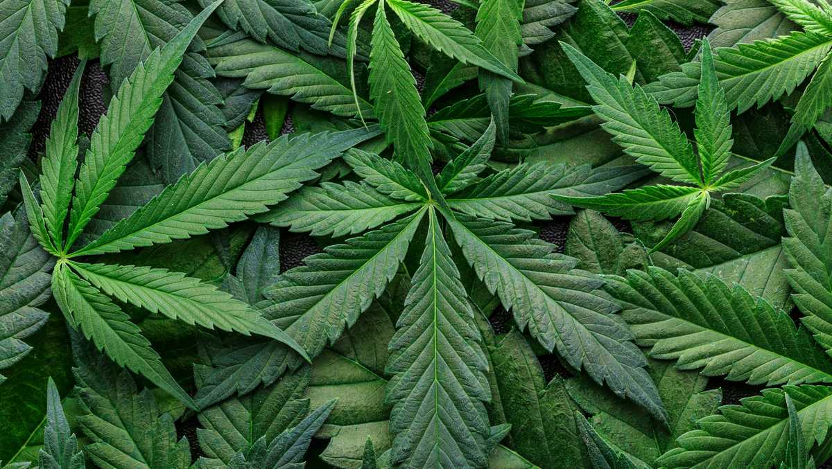 Congress to pass SAFER Banking Act to improve public safety