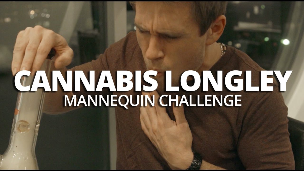 The Cannabis Longley Mannequin Challenge