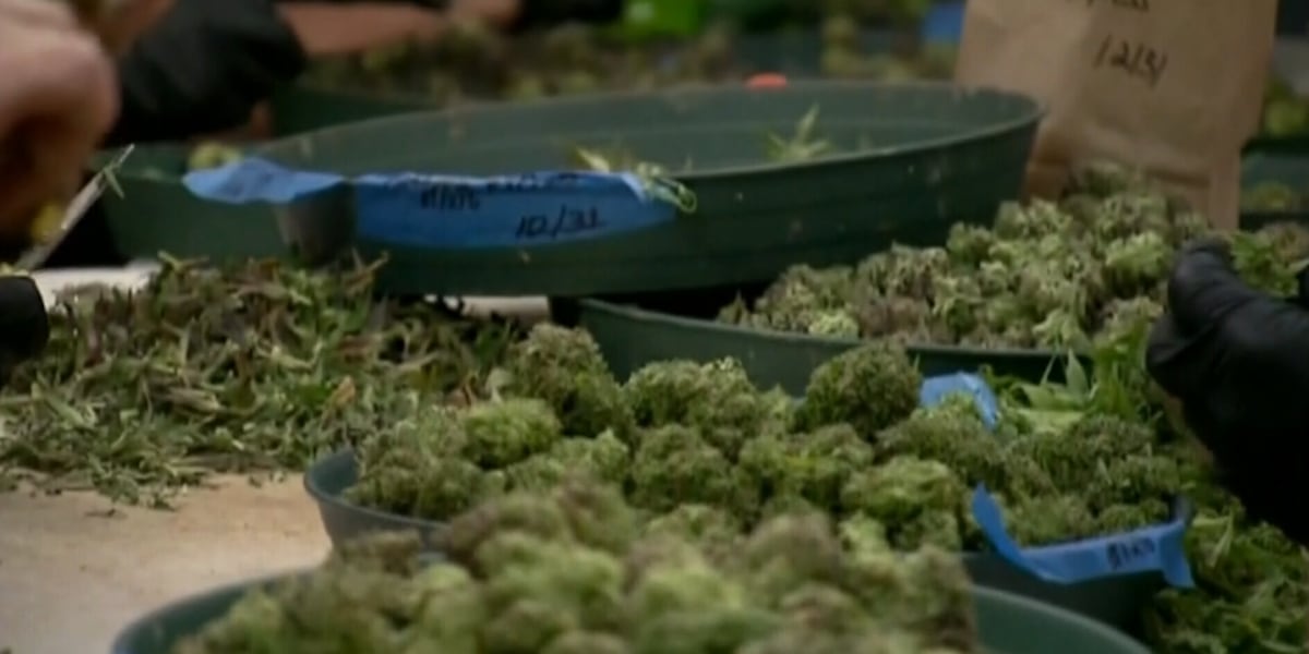 New marijuana dispensary opening in downtown Cleveland