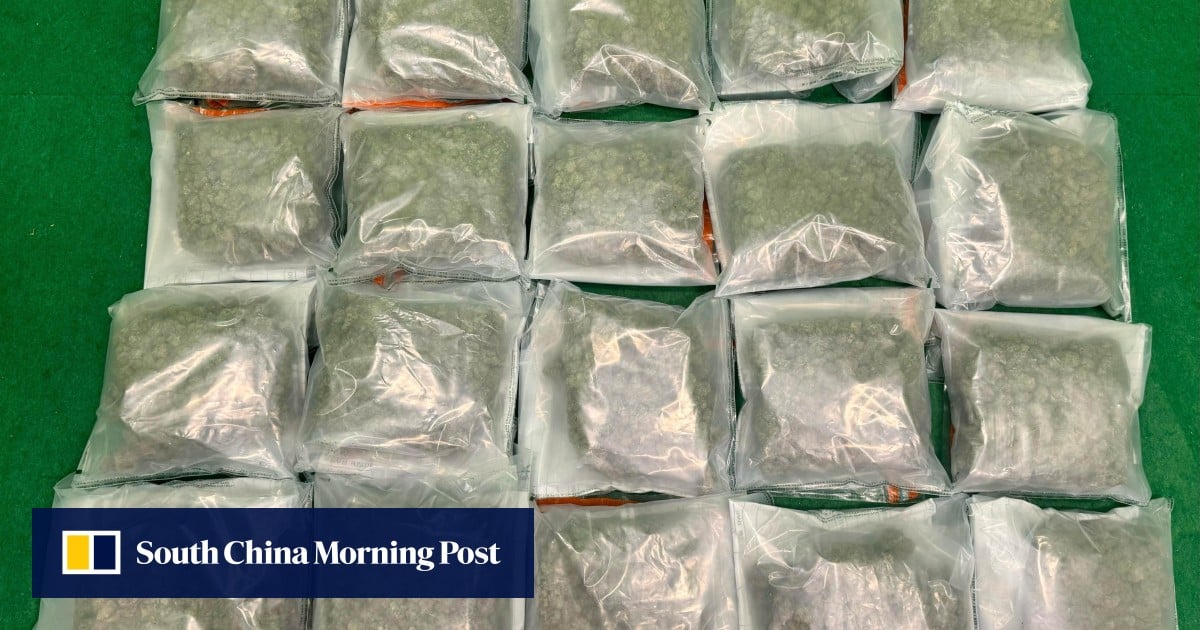 2 arrested as Hong Kong customs seizes 20kg of cannabis buds at airport