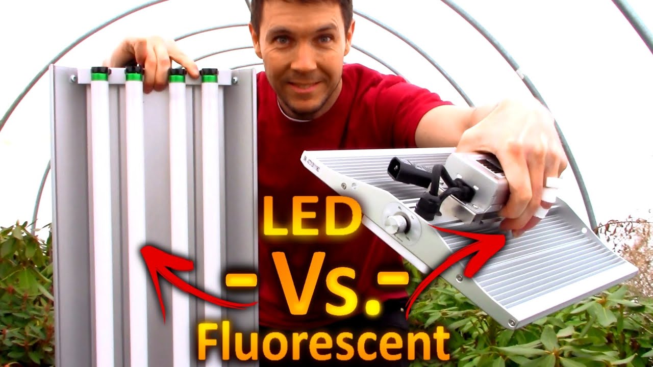 LED Grow Lights vs  Fluorescent Bulbs for Seedlings and Cuttings | ViparSpectra XS 1000 Grow Light
