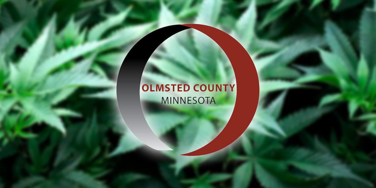 Olmsted County to host first cannabis registration lottery on Thursday
