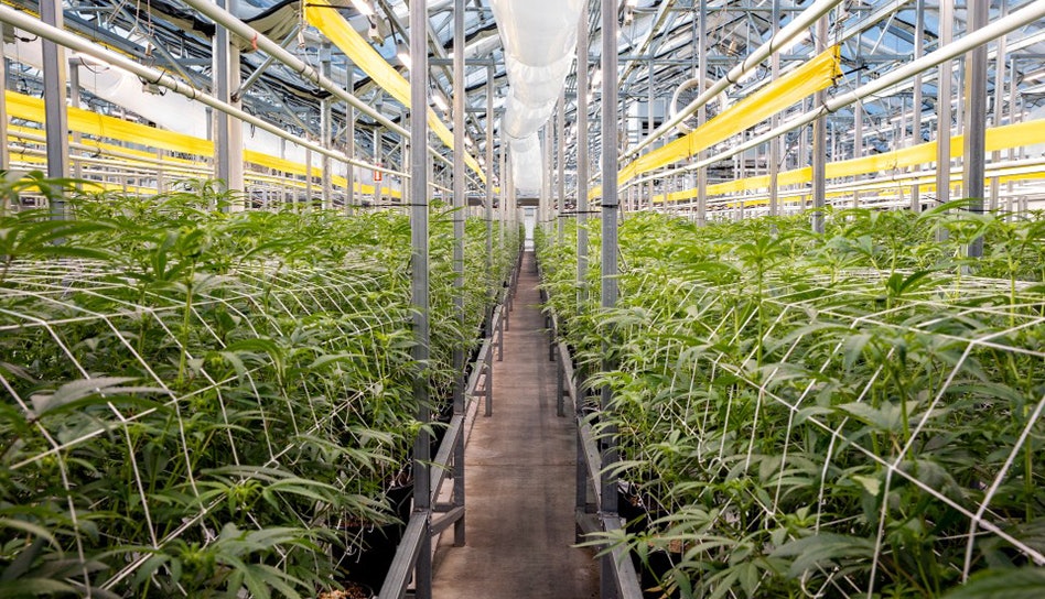 AYR Wellness’ Massachusetts Exit Includes 4 Dispensaries, 157 Layoffs