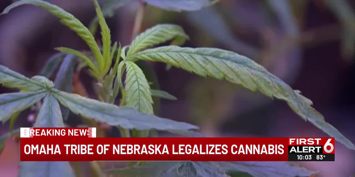Omaha Tribe of Nebraska ‘making great progress’ on rollout of medical marijuana