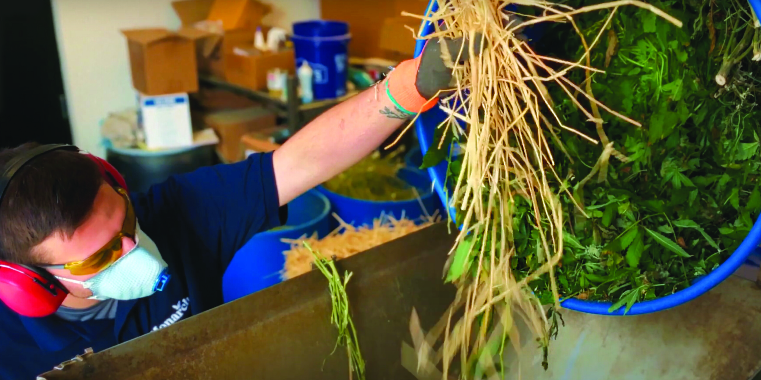 How Monarch Waste Co. is sustainably managing MO's cannabis waste