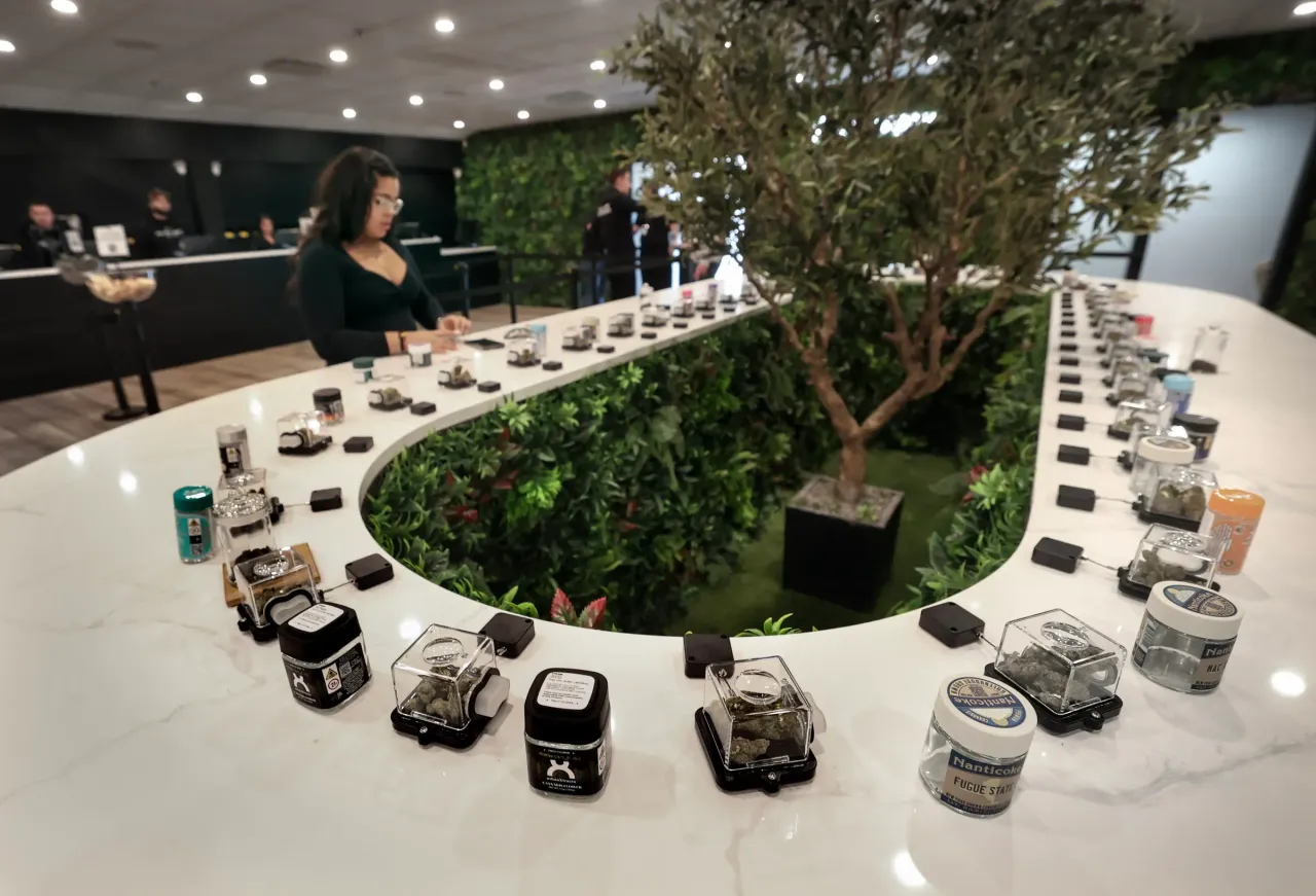 Dozens of varieties of marijuana samples are on display at dispensary in East Farmingdale, New York. (Photo by John Paraskevas/Newsday RM via Getty Images)