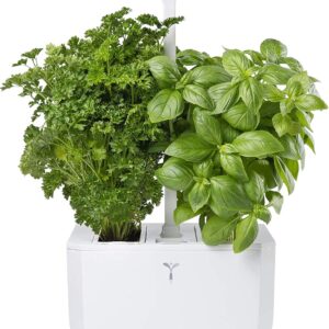 cannabis growing supplies and accessories