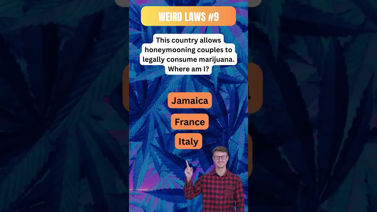 Weird Pot Laws #9 Legal Laughter: Marijuana Laws Riddle Comedy! #quiz #puzzle #cannabisdaily