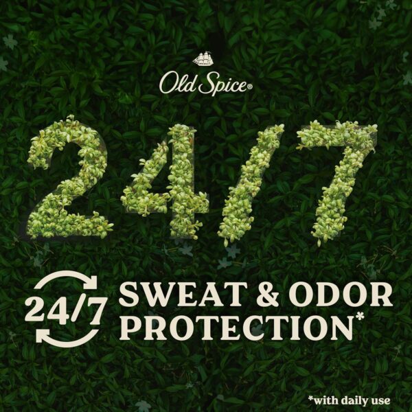 Old Spice Men's Antiperspirant & Deodorant Alpine with Hemp Oil, 2.6oz (Pack of 3) - Image 4