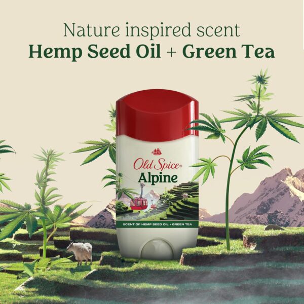 Old Spice Men's Antiperspirant & Deodorant Alpine with Hemp Oil, 2.6oz (Pack of 3) - Image 7