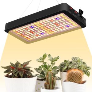 cannabis growing lights