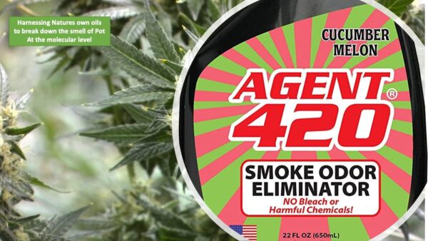 AGENT 420-22 oz Cannabis Odor Destroying Spray for Eliminating Cigarette Smoke or Most Unwanted Odors In Your House, Car or Apartment - Freshen Up The “Joint” (Cucumber Watermelon, 22 Ounce) - Image 2