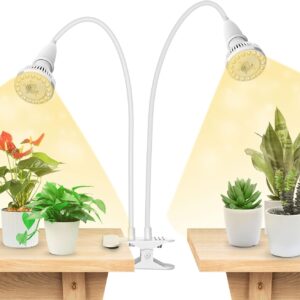 cannabis growing lights