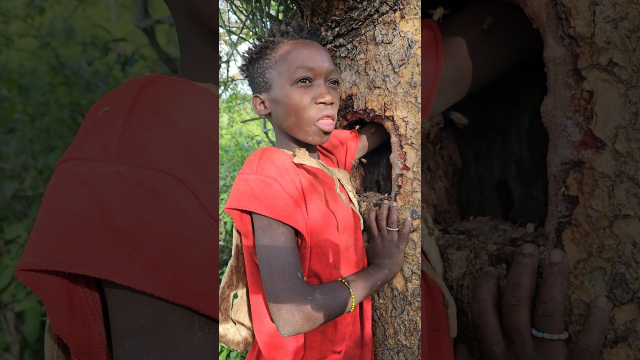 Hadza Youngest Hunter isn't Scared of Bees #shortsfeed #hadzabe