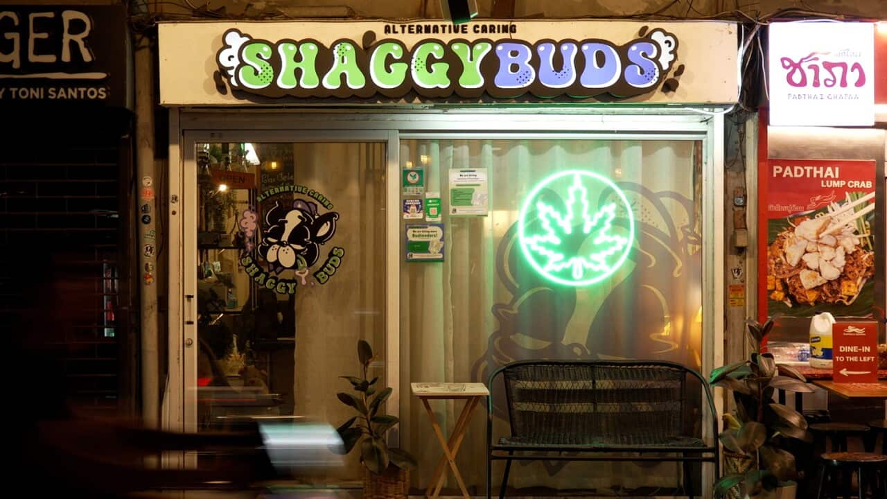 A neon-lit shopfront called Shaggy Buds