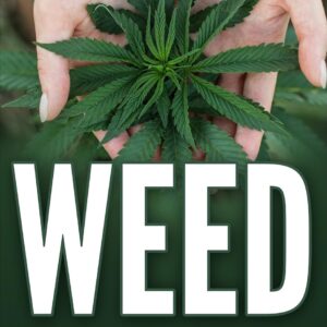 cannabis growing book