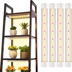 cannabis growing lights