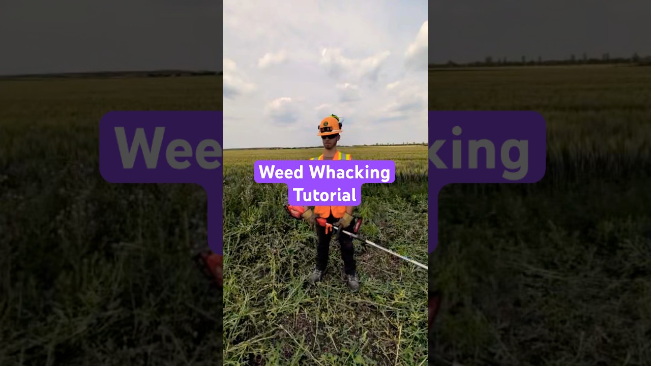 Bob shows you how to weed whack like a boss #funny #funnyshorts #funnyvideo #joke #fun #bluecollar