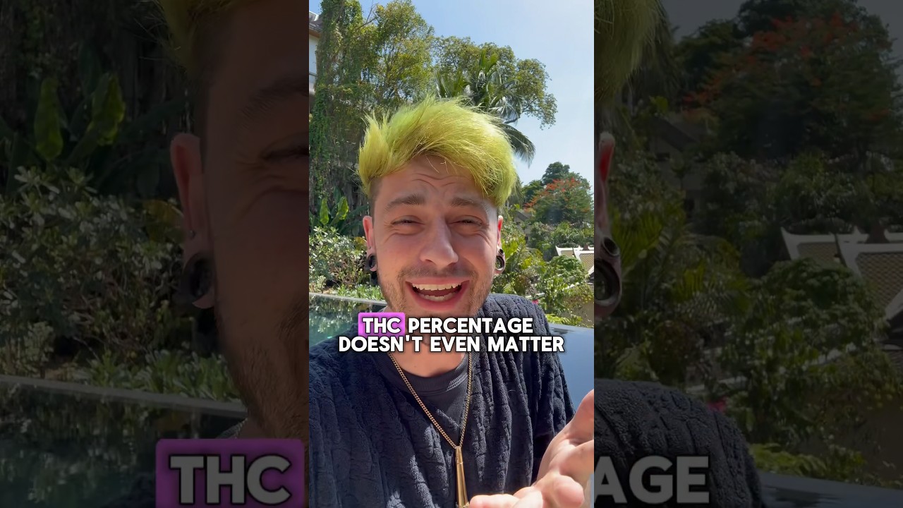 “THC percentage doesn’t matter”