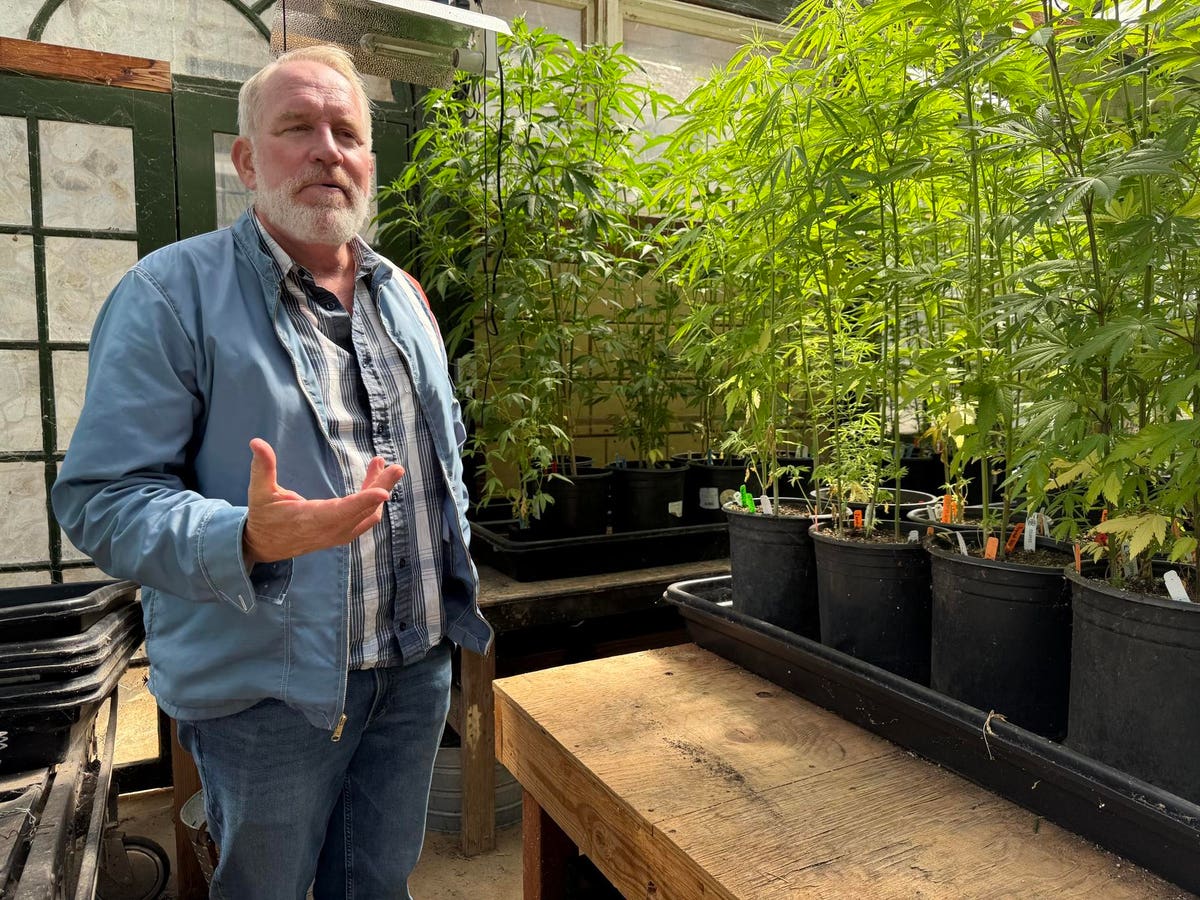 Cannabis Curious? Anderson Valley Cannabis Weekends Are A New Way To Experience Mendocino