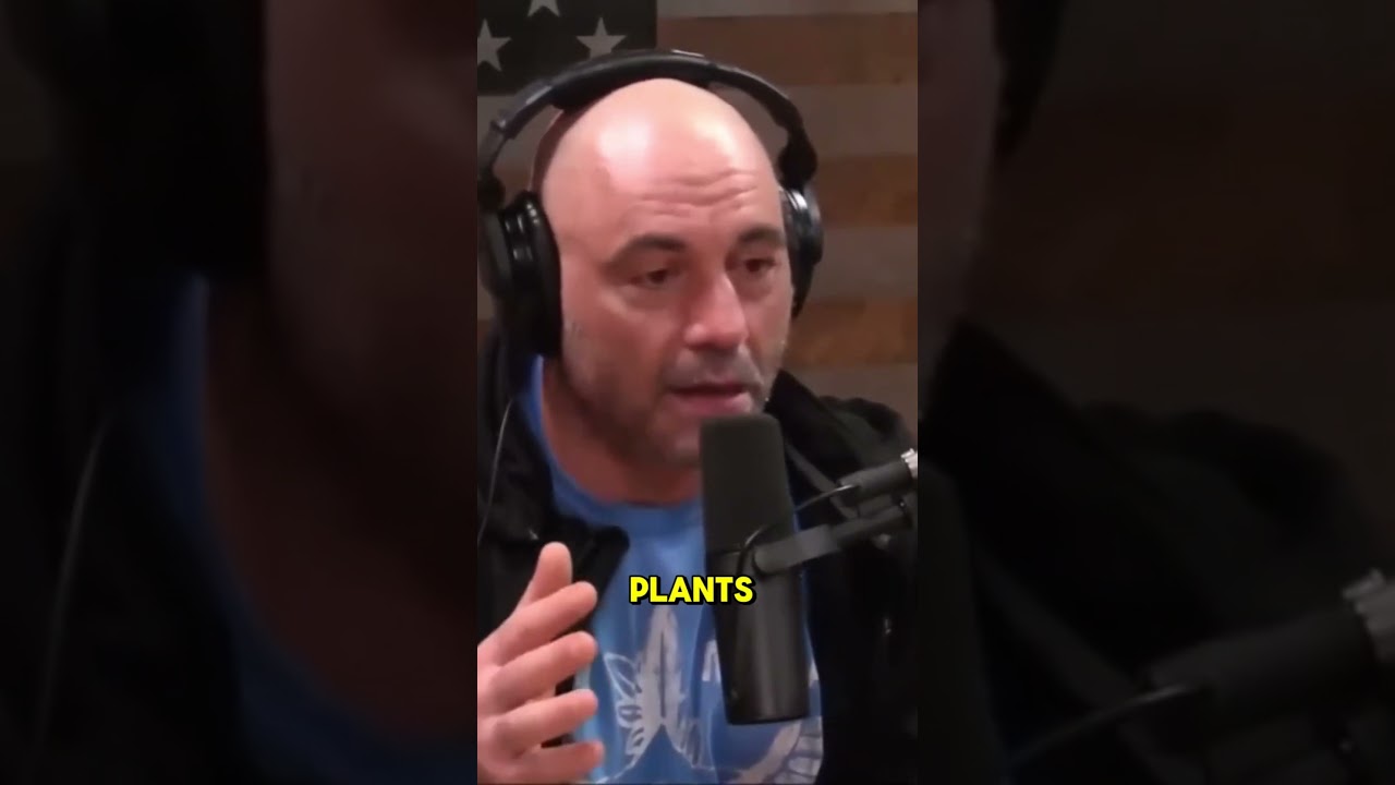 Was Moses High: The Burning Bush Theory. #shorts #shortvideo #podcast #jre
