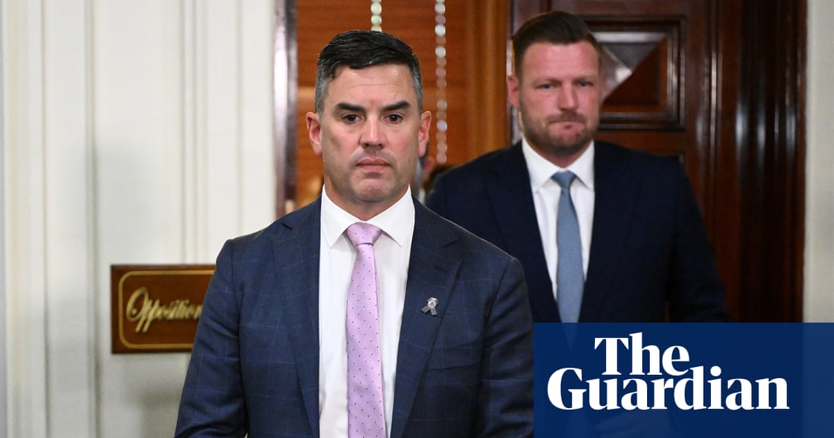 Victorian Liberal members to push for regulated cannabis market at state council | Victorian politics
