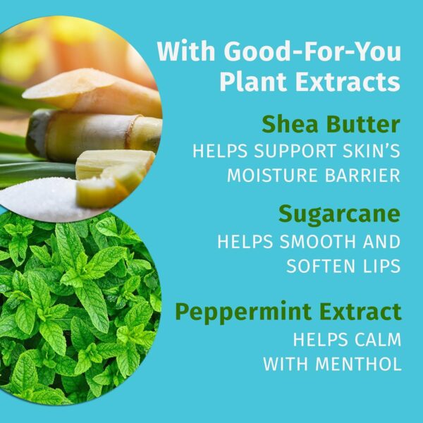 Hempz Crushed Peppermint Sugar Herbal Lip Balm .44 oz - Image 4