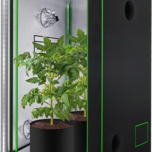 cannabis accessories growing