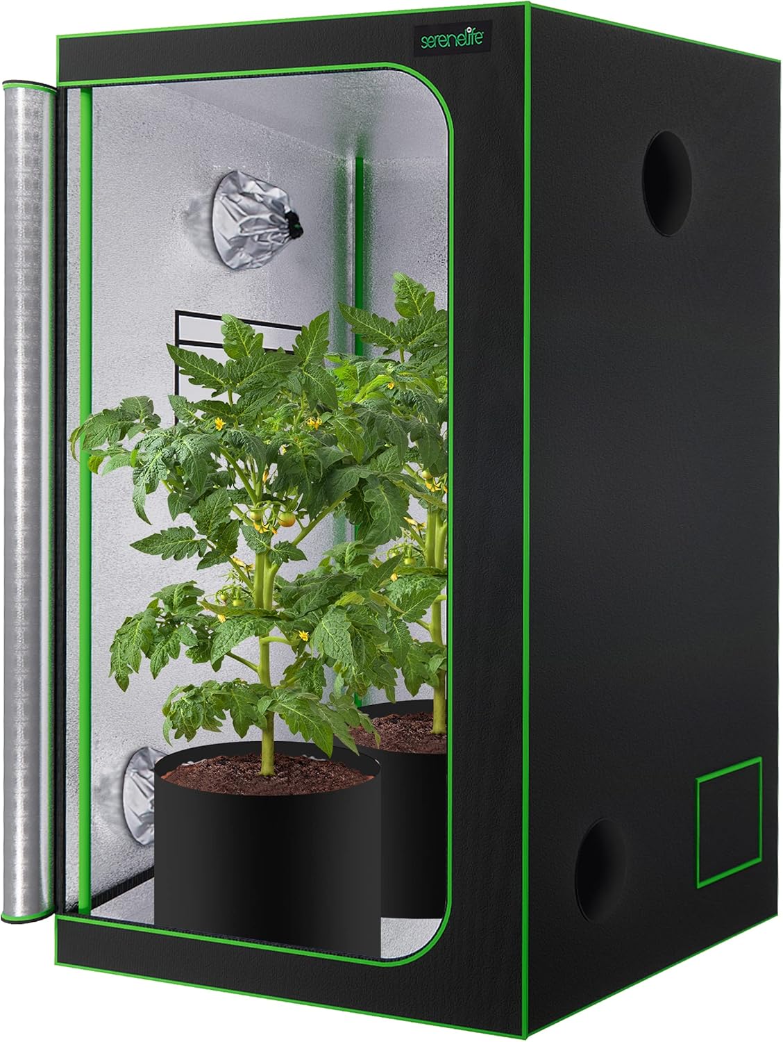cannabis accessories growing