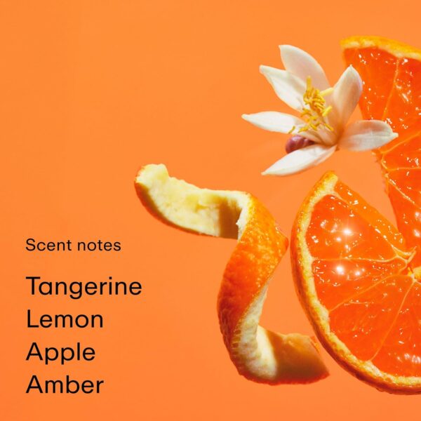 PHLUR Tangerine Boy Eau de Parfum - Travel Size Perfume Fragrance - Spicy Citrus Perfume with Lemon, Ginger, Tangerine, Jasmine & Black Pepper (9.5mL) - Image 3