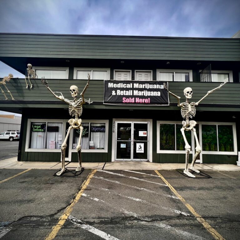 307086959 533931825202725 2221046311291457760 n 768x768