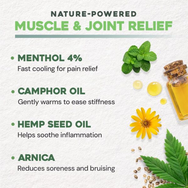 Ebanel Pain Relief Roll On for Arthritis, Foot, Back, Joint, Neck, Strains & Sprains with Menthol, Camphor, Arnica, Emu Oil, MSM, Boswellia, Targeted Muscle Pain Relief Roll On - Image 4