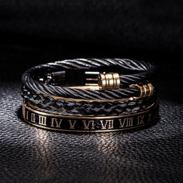 3pcs/set Classical Handmade Braiding Bracelet Hip Hop Men Pave CZ Leopard Head Roman Numeral Bracelet Stainless Steel Jewelry - Image 2