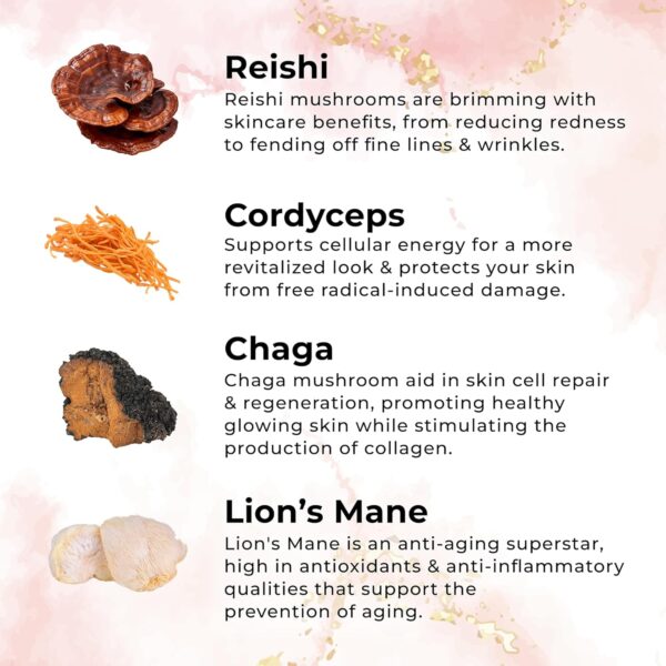 Zenrenu Anti Aging Moisturzer Face & Body Cream for Women - Reishi, Chaga, Cordyceps, Lion’s Mane Botanical Extracts & 8 Essential Oils for Silky Timeless Radiant Skin Tighening & Repair 3.4 oz - Image 2