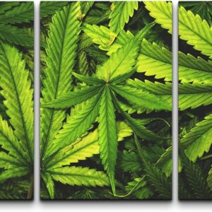 cannabis art