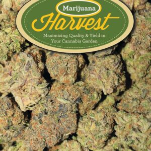 cannabis