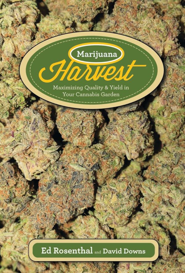 cannabis